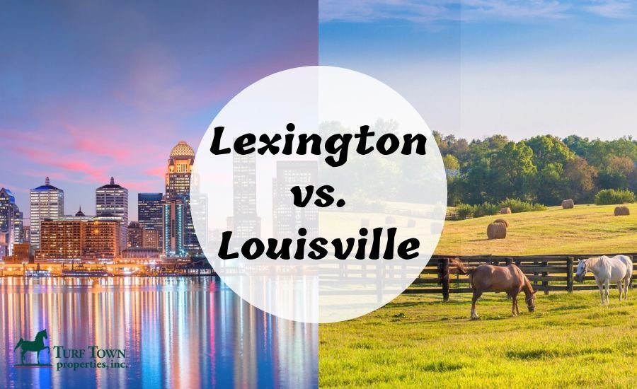 Lexington vs. Louisville Kentucky